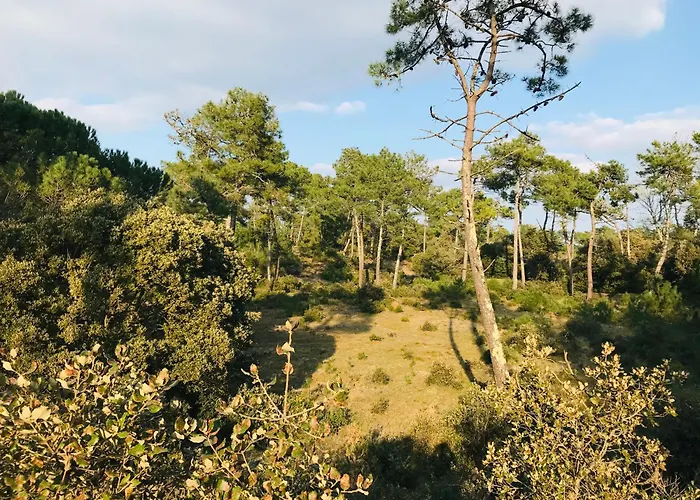 아파트 Piscine, Et Golf - Hollywood 생장드몽